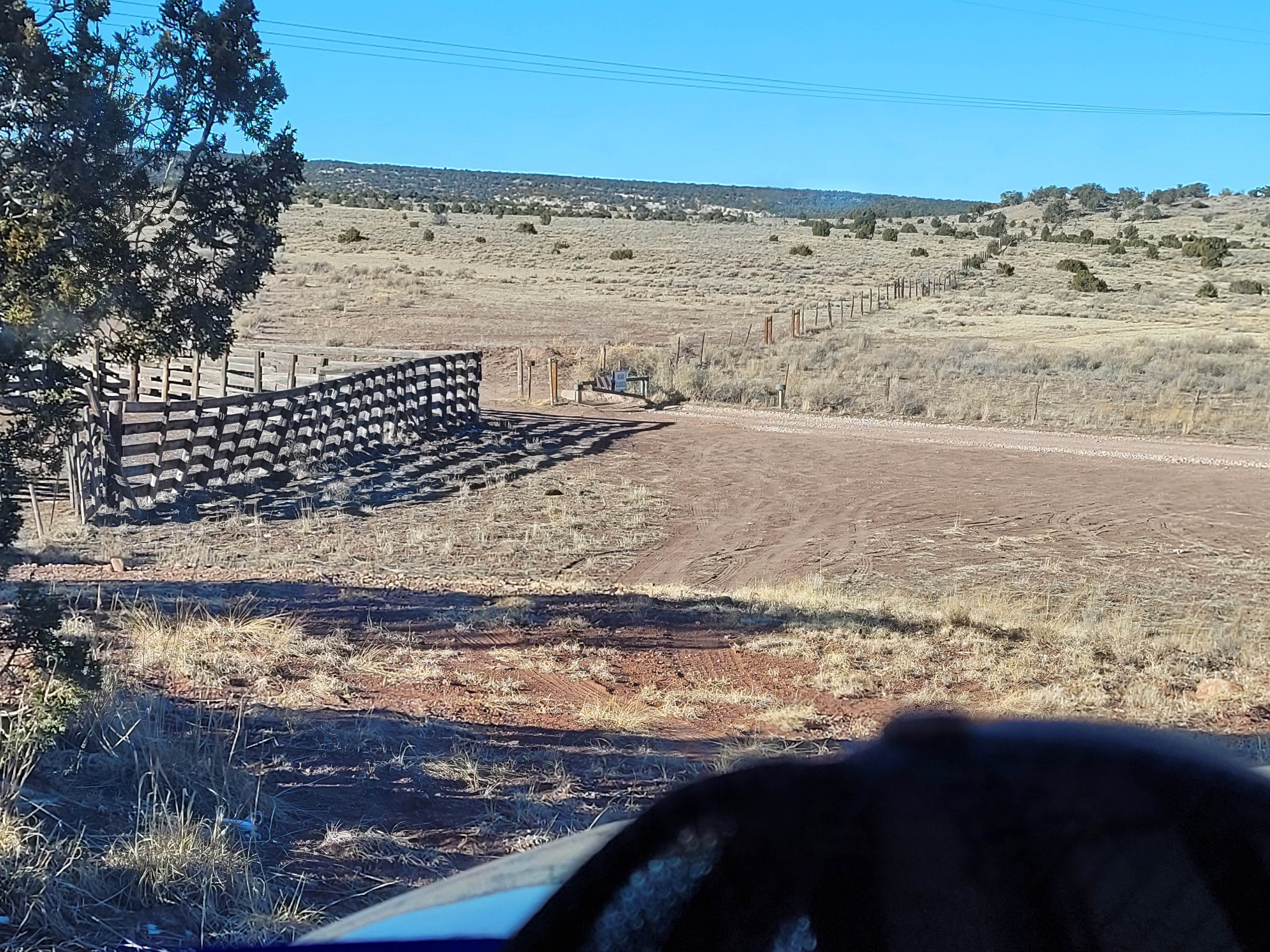 Best dispersed camping near Sheep Springs New Mexico