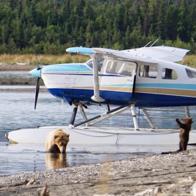 Brooks Camp Campground — Katmai Bay National Park King salmon, AK