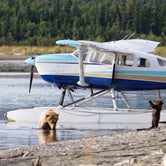 Review photo of Brooks Camp Campground — Katmai Bay National Park by Dan X., January 5, 2021