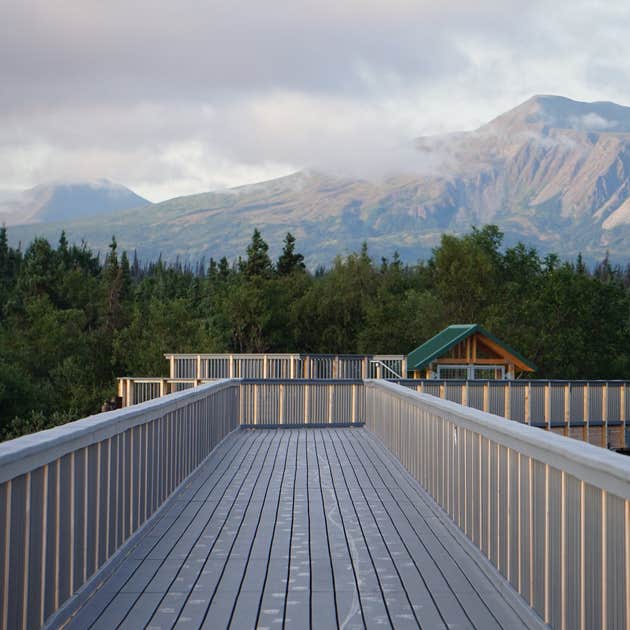 Brooks Camp Campground — Katmai Bay National Park King salmon, AK