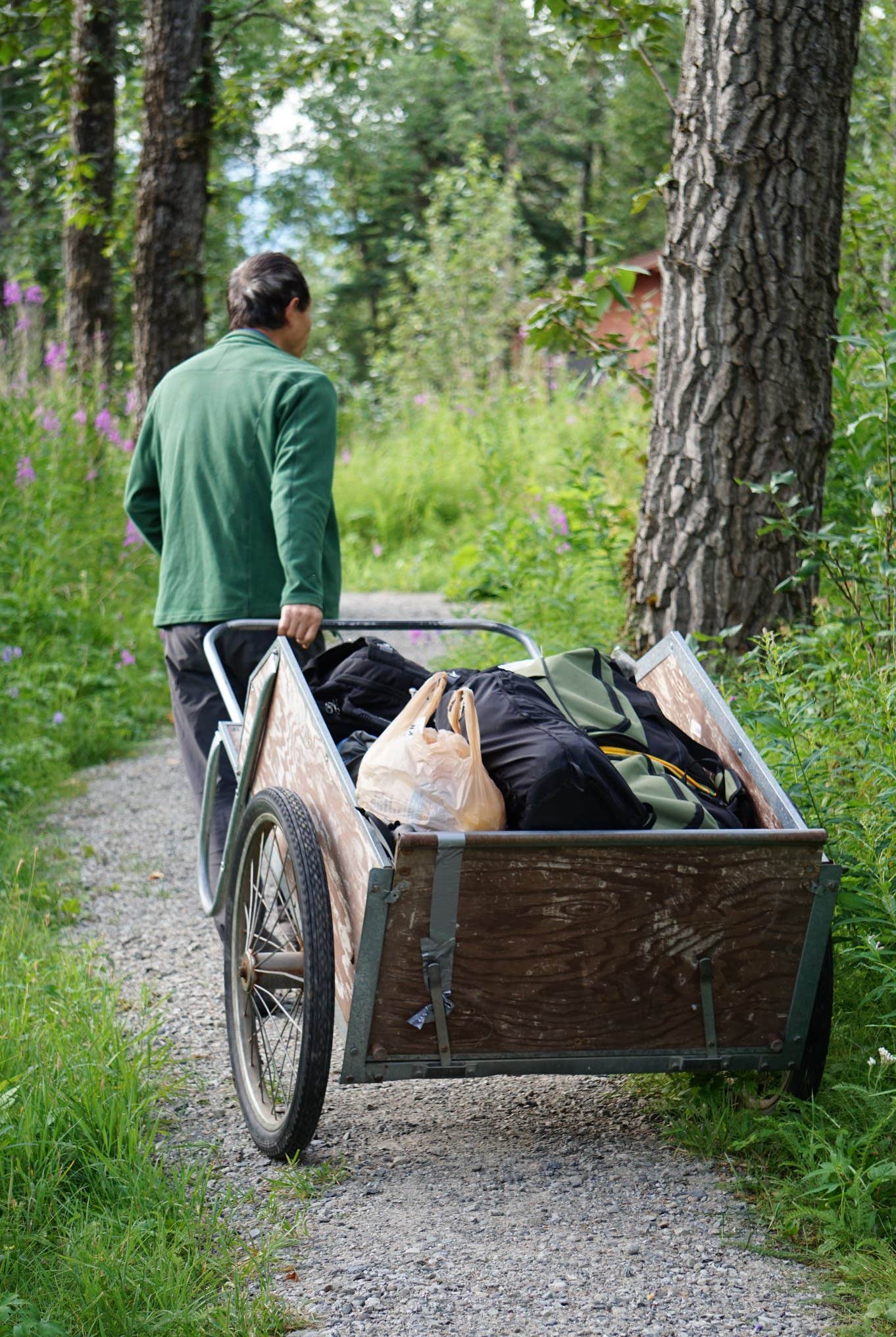 Camper submitted image from Brooks Camp Campground — Katmai Bay National Park - 4