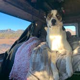 Review photo of Old Airstrip Camping & Staging Area by Kiley S., January 5, 2021