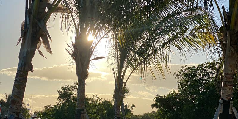Camper submitted image from Coconut Cay RV Resort & Marina