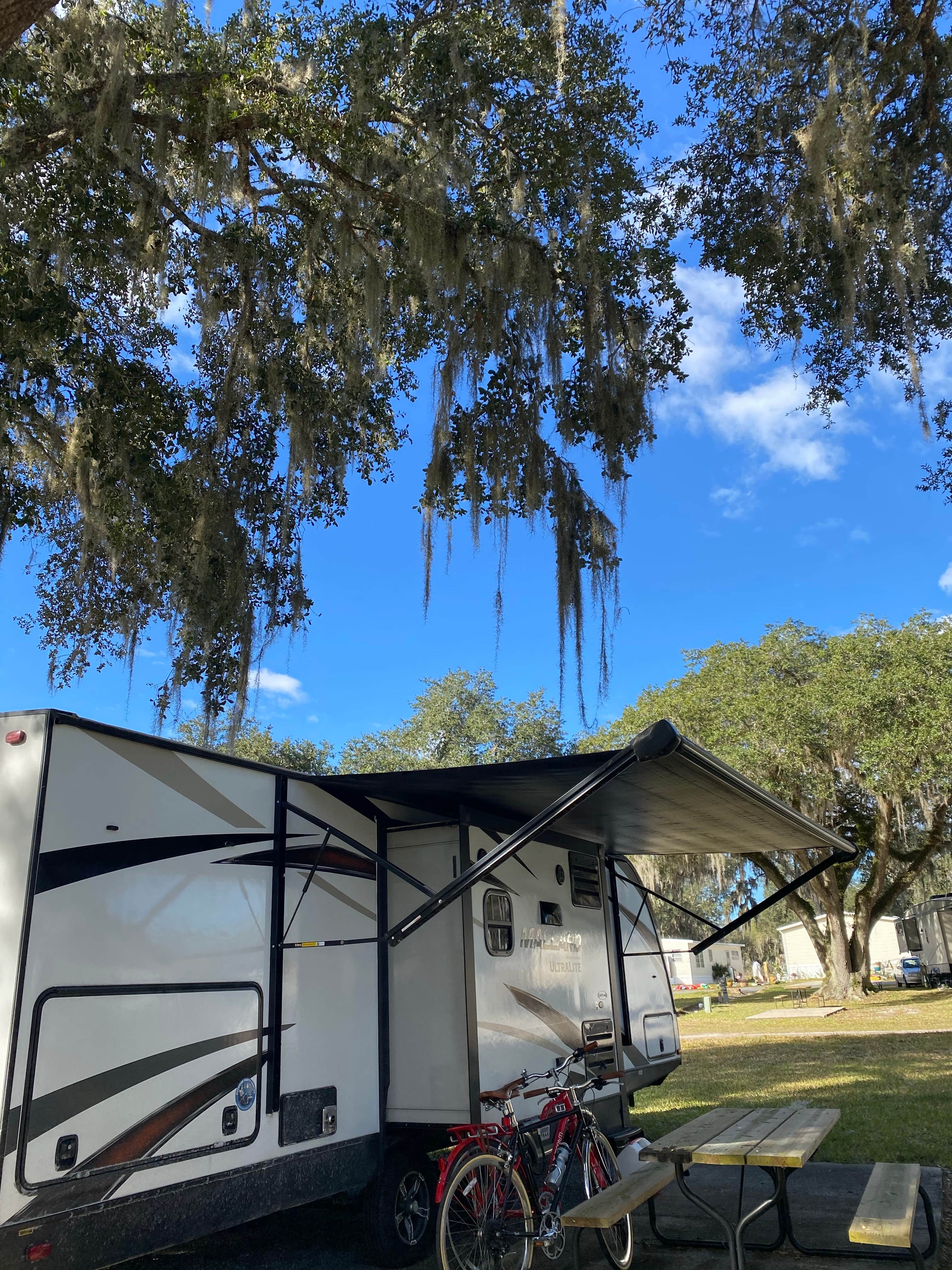 Camper submitted image from Lake Pan RV Village - 2