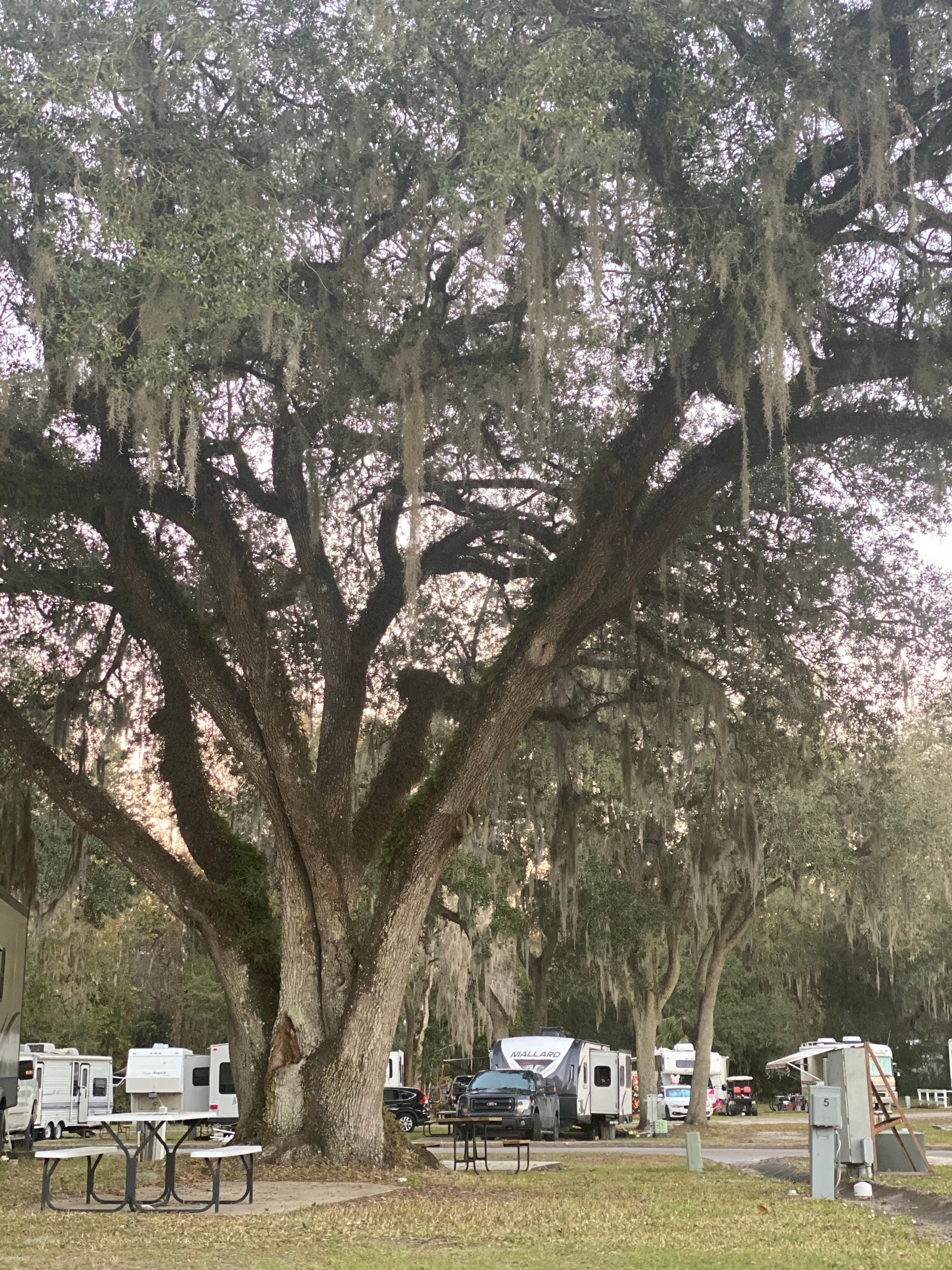 Camper submitted image from Lake Pan RV Village - 2