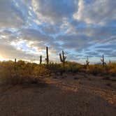 Review photo of BLM Ironwood Forest National Monument - Pipeline Rd Dispersed camping by Laura M., January 5, 2021