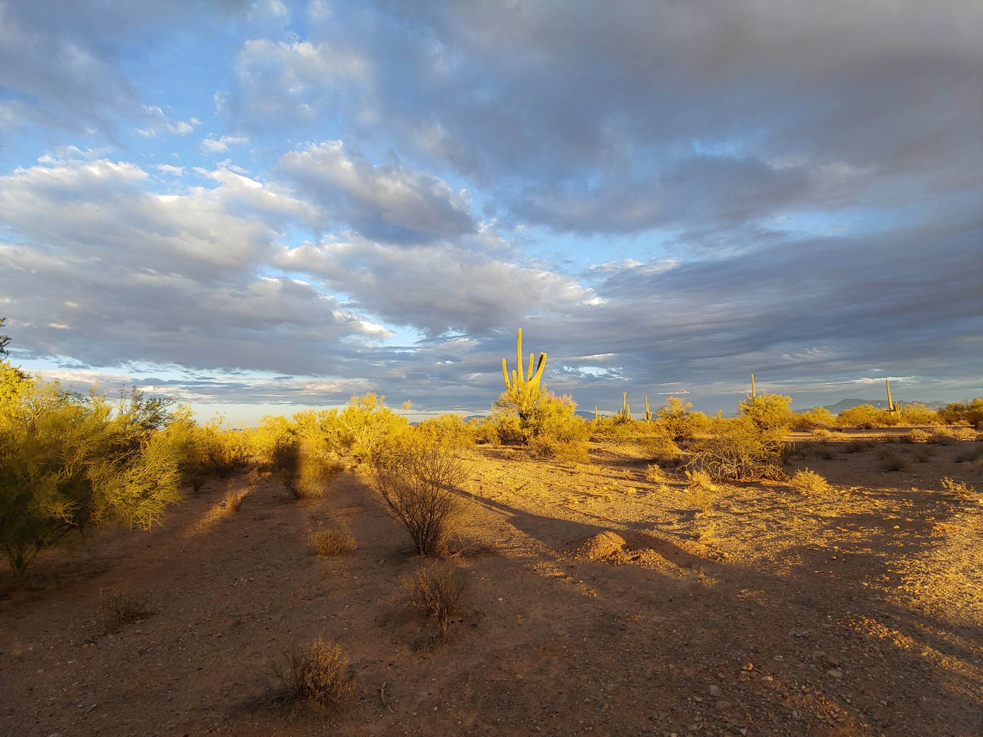 Camper-submitted photo at BLM Ironwood Forest National Monument - Pipeline Rd Dispersed camping near Eloy, AZ