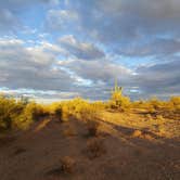 Review photo of BLM Ironwood Forest National Monument - Pipeline Rd Dispersed camping by Laura M., January 5, 2021