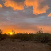 Review photo of BLM Ironwood Forest National Monument - Pipeline Rd Dispersed camping by Laura M., January 5, 2021