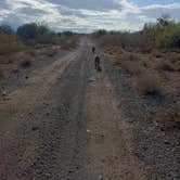 Review photo of BLM Ironwood Forest National Monument - Pipeline Rd Dispersed camping by Laura M., January 5, 2021