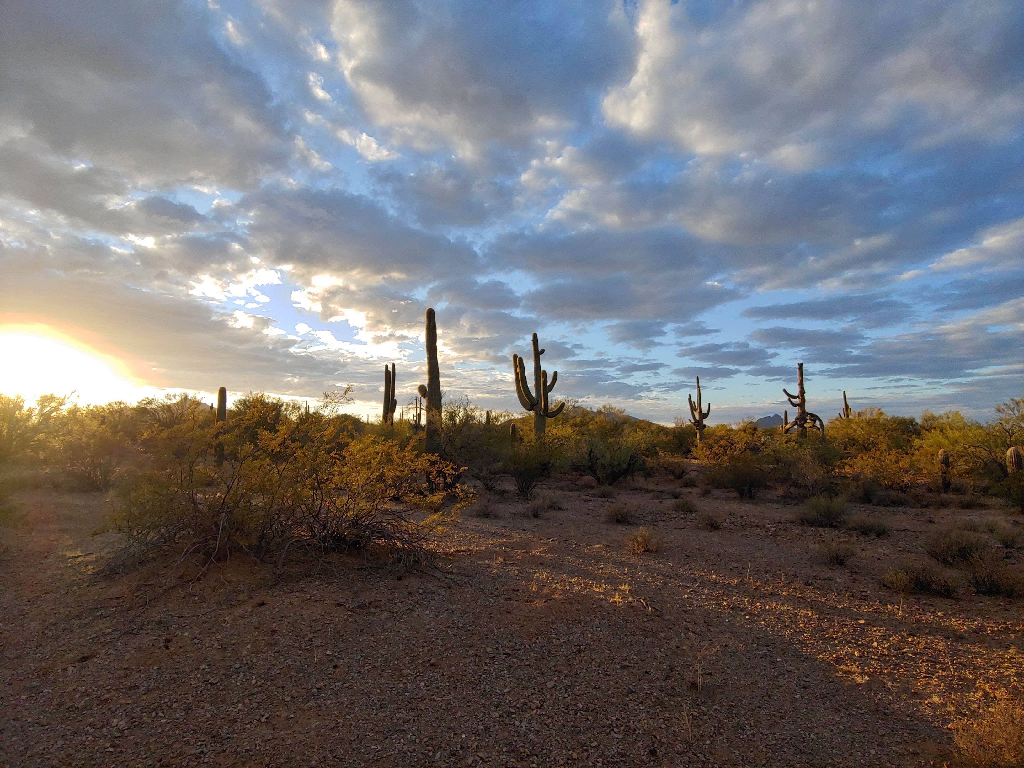 Camper-submitted photo at BLM Ironwood Forest National Monument - Pipeline Rd Dispersed camping near Eloy, AZ