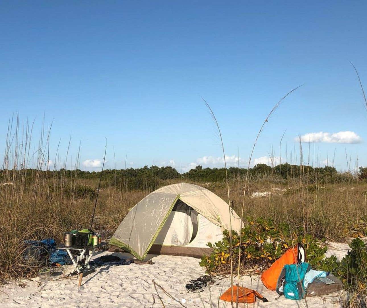 Dan X.'s photo of a dispersed camping area at Shell Key Preserve near Tampa, FL