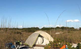 Dan X.'s photo of a dispersed camping area at Shell Key Preserve near Lamont, FL