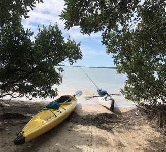 Camper-submitted photo from Shell Key Preserve