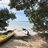 Review photo of Shell Key Preserve by Dan X., January 5, 2021