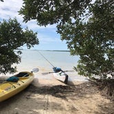 Review photo of Shell Key Preserve by Dan X., January 5, 2021