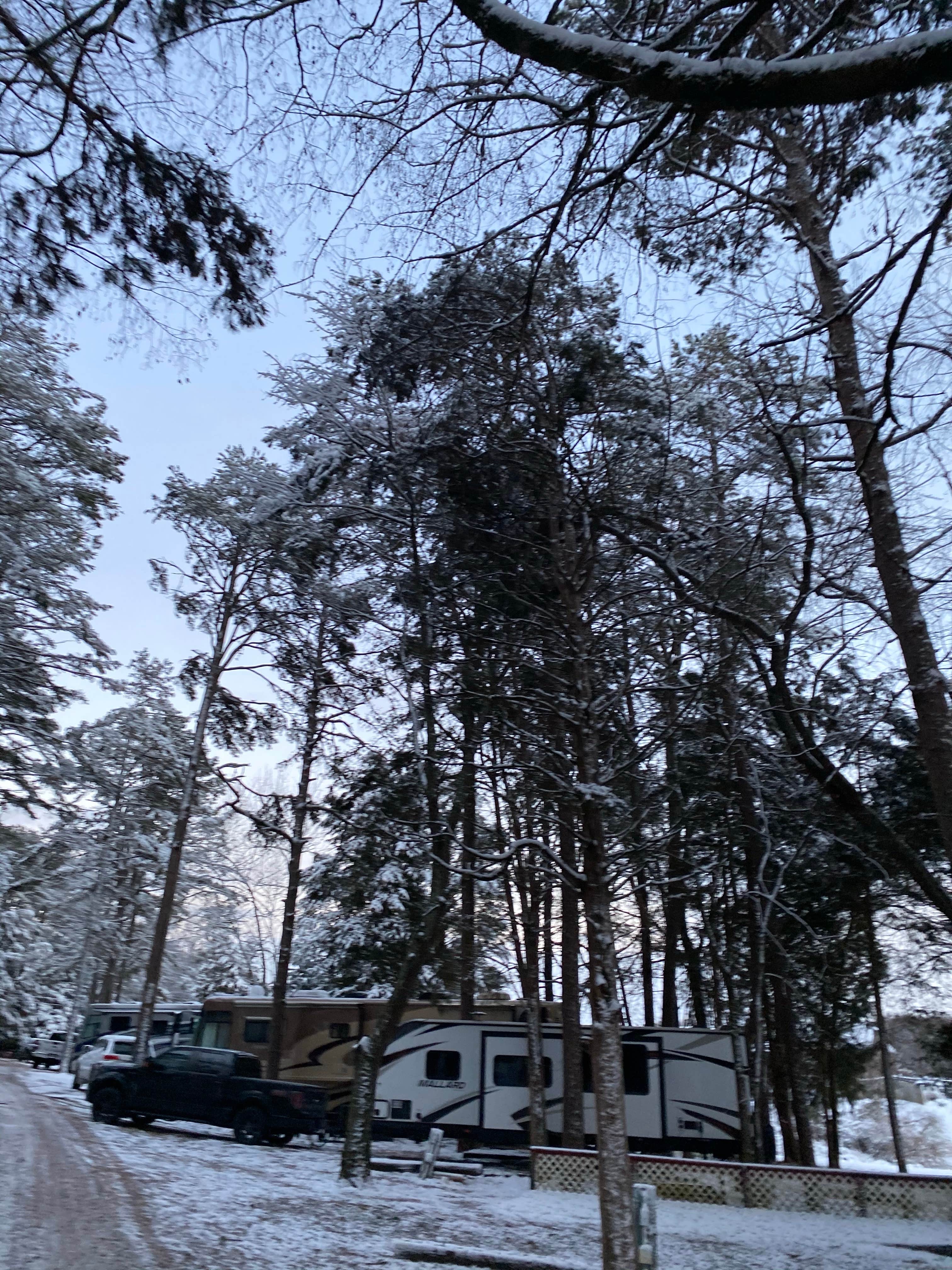 Loni W.'s photo of rv camping at Southlake RV Park near Duff, TN