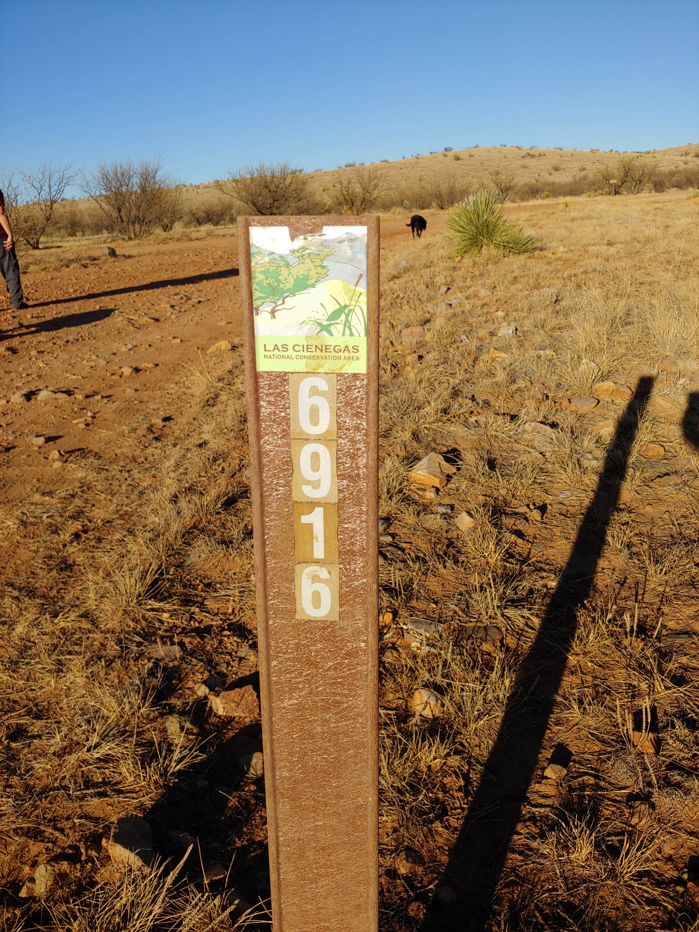 Camper submitted image from Road Canyon Camping Area - 2