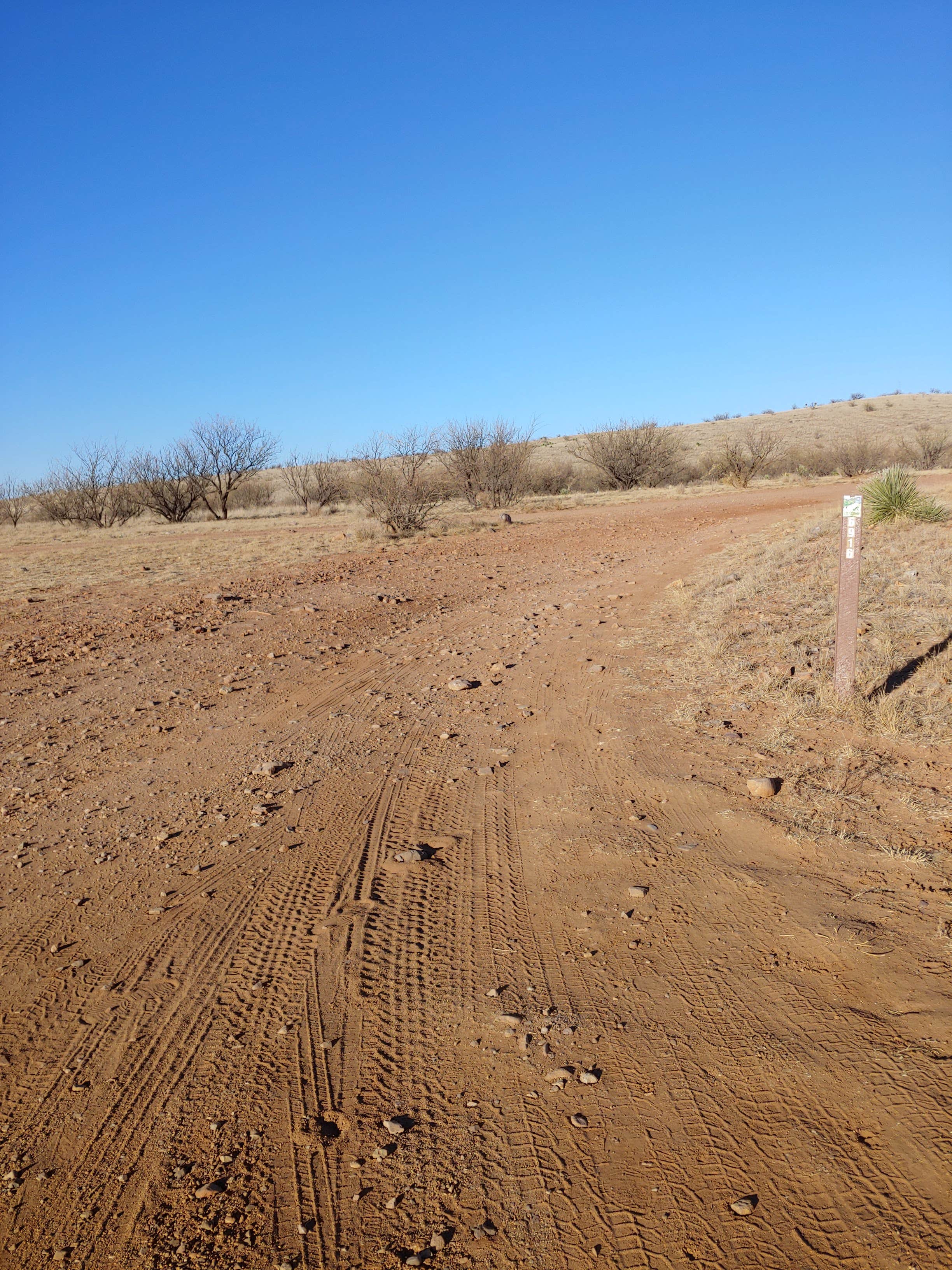 Camper-submitted photo at Road Canyon Camping Area near Sonoita, AZ
