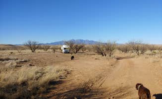 Laura M.'s photo of camping with pets at Road Canyon Camping Area near Patagonia, AZ