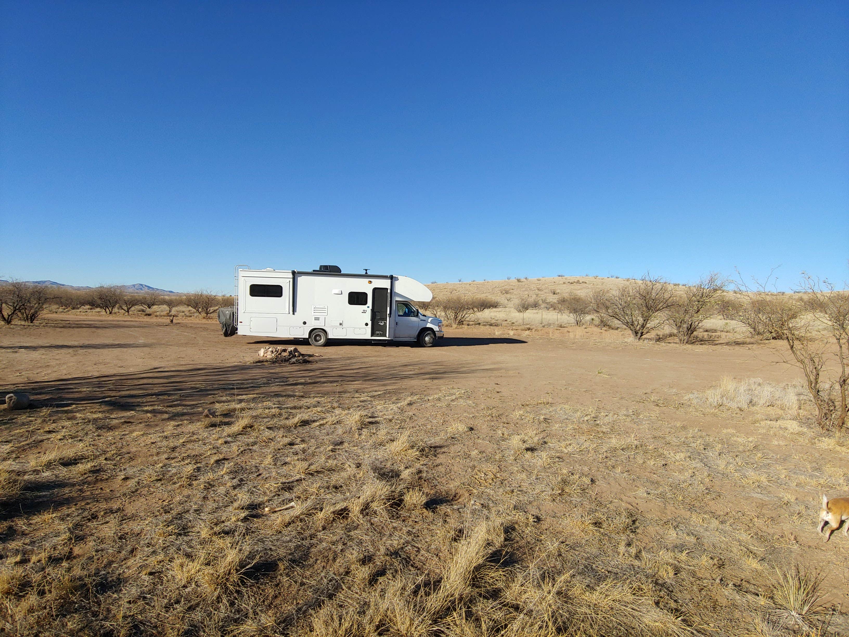 Camper submitted image from Road Canyon Camping Area - 5