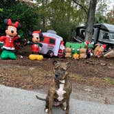 Review photo of Disney’s Fort Wilderness Resort & Campground by Alana F., January 5, 2021