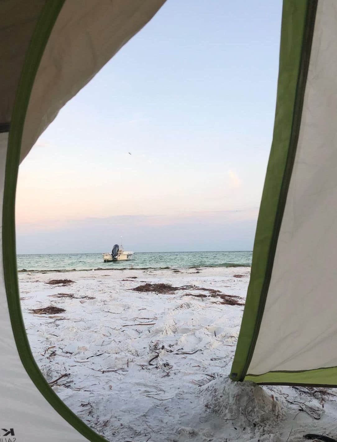 Camper submitted image from Anclote Key Preserve State Park Campground - 2