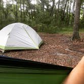 Review photo of Skidaway Island State Park Campground by Dan X., January 5, 2021