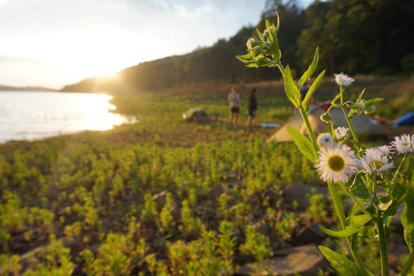 Camper-submitted photo at Round Valley State Park Campground near Fort Washington, PA