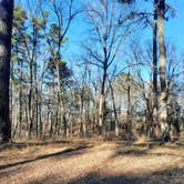 Review photo of Neches Bluff Overlook Campground by David P., January 5, 2021