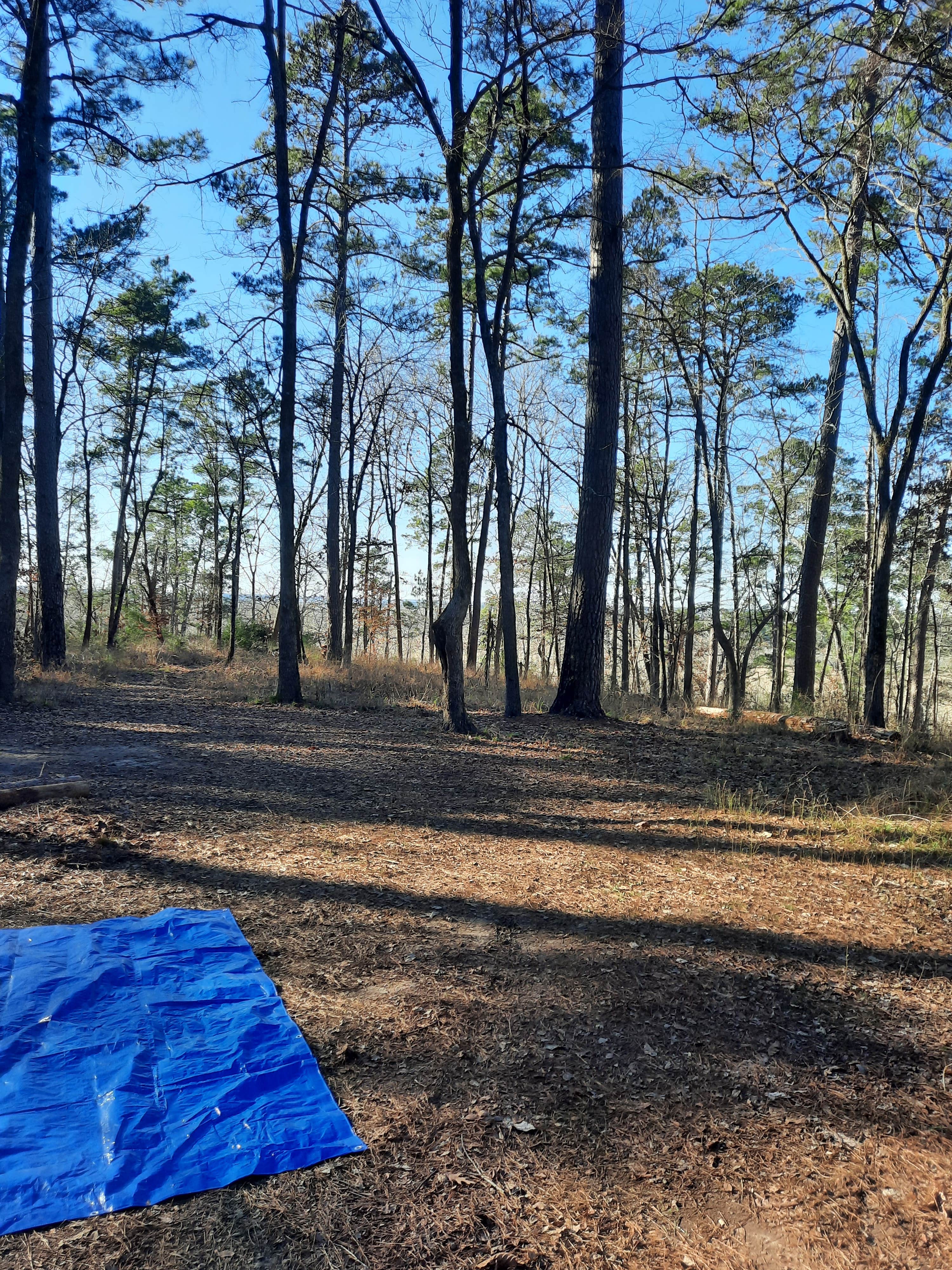 David P.'s photo at Neches Bluff Overlook Campground in Texas