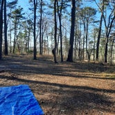 Review photo of Neches Bluff Overlook Campground by David P., January 5, 2021