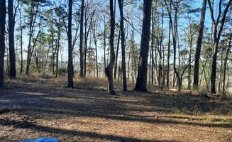 David P.'s photo at Neches Bluff Overlook Campground in Texas