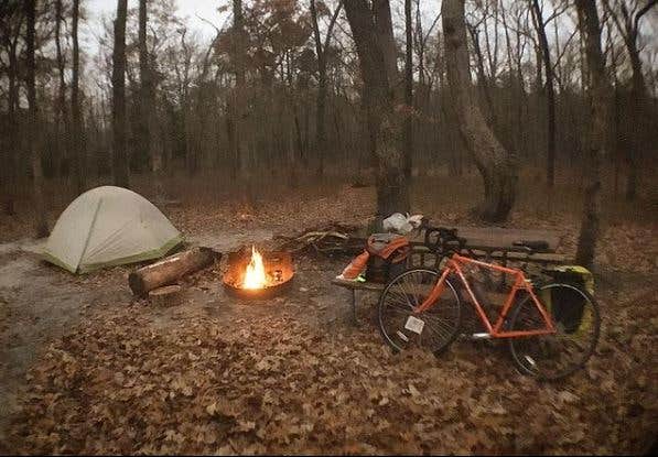 Camper submitted image from Allaire State Park - TEMPORARILY CLOSED - 5