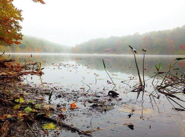 Camper submitted image from Camp Mohican Outdoor Center — Delaware Water Gap National Recreation Area - 5