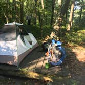 Review photo of Camp Mohican Outdoor Center — Delaware Water Gap National Recreation Area by Dan X., January 5, 2021