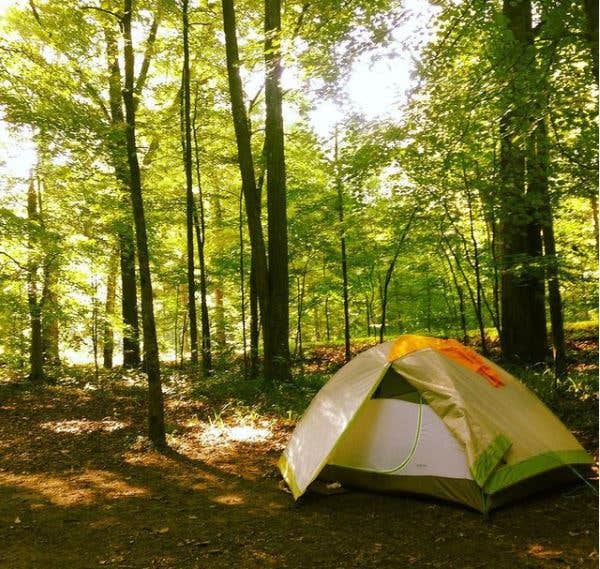 Dan X.'s photo at Mammoth Cave Campground — Mammoth Cave National Park near Sweeden, KY