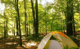 Dan X.'s photo at Mammoth Cave Campground — Mammoth Cave National Park near Mammoth Cave National Park