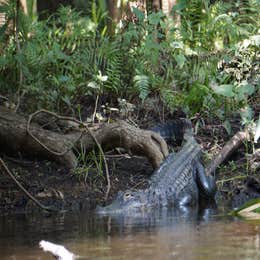 Hillsborough River State Park Campground