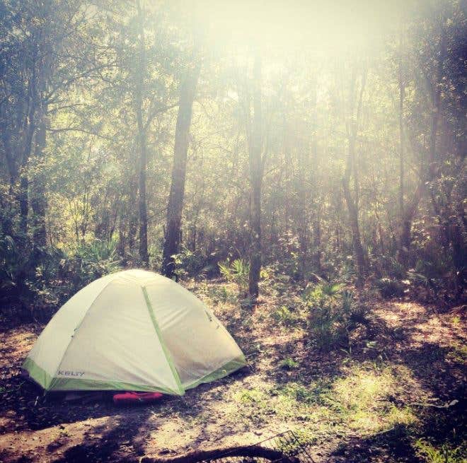 Camper-submitted photo at Hillsborough River State Park Campground in Florida