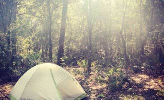 Dan X.'s photo of tent camping at Hillsborough River State Park Campground near Tampa, FL