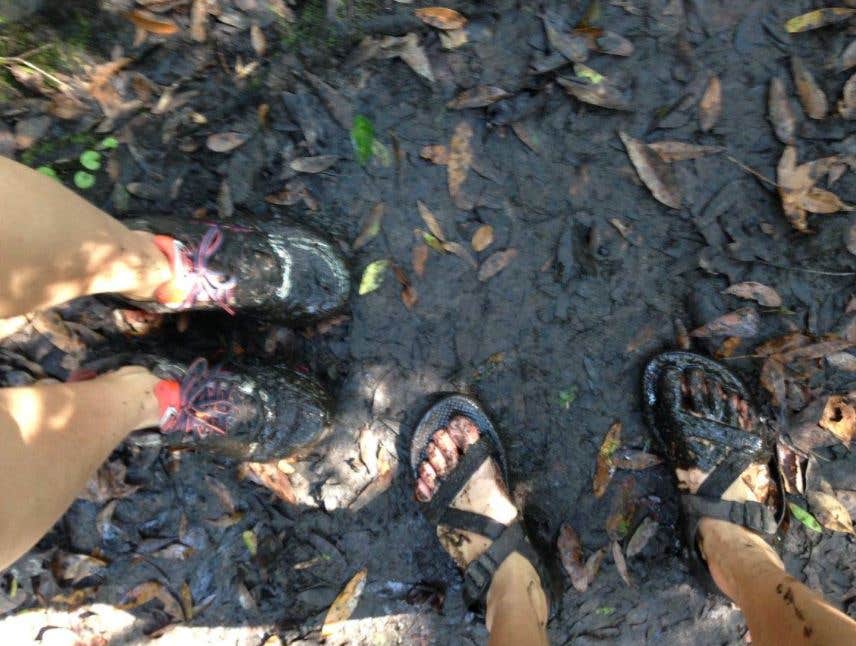 Camper-submitted photo at Hillsborough River State Park Campground in Florida