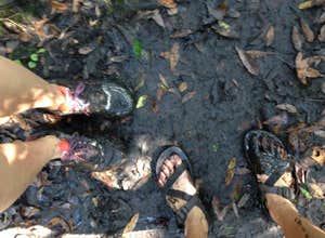 Hillsborough River State Park Campground