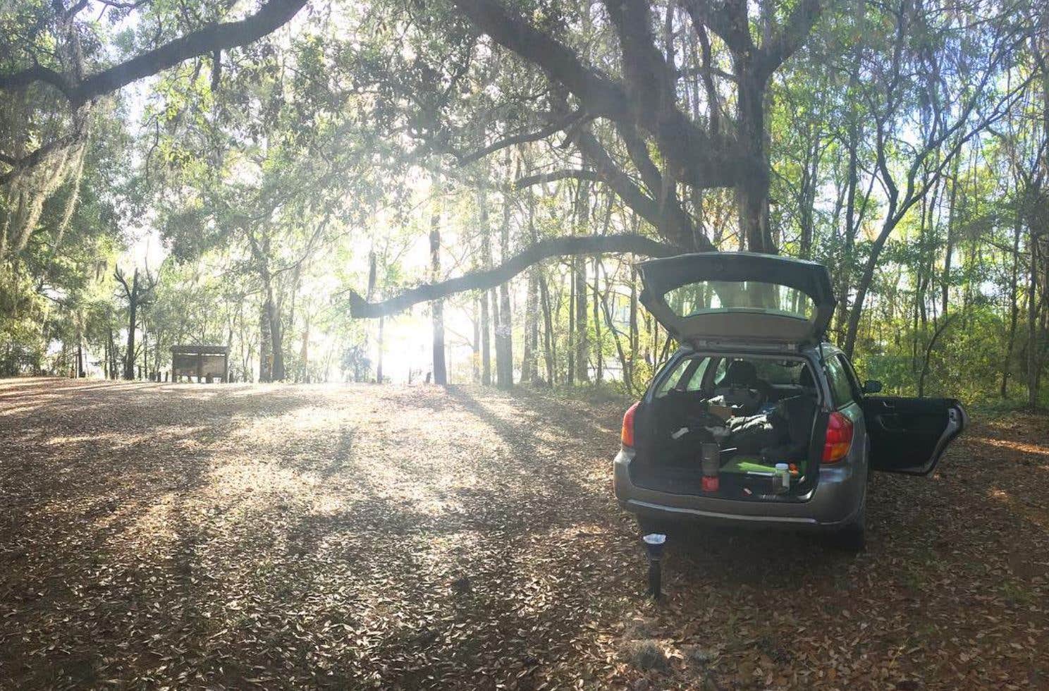 Camper submitted image from Coe Landing Campground - 3