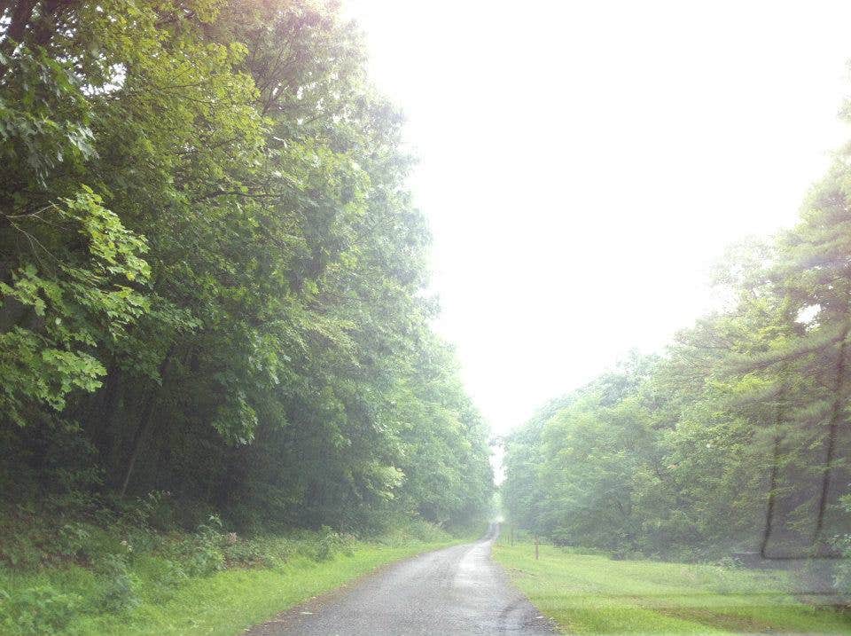 Camper-submitted photo at Russell P Letterman Campground — Bald Eagle State Park near Lemont, PA