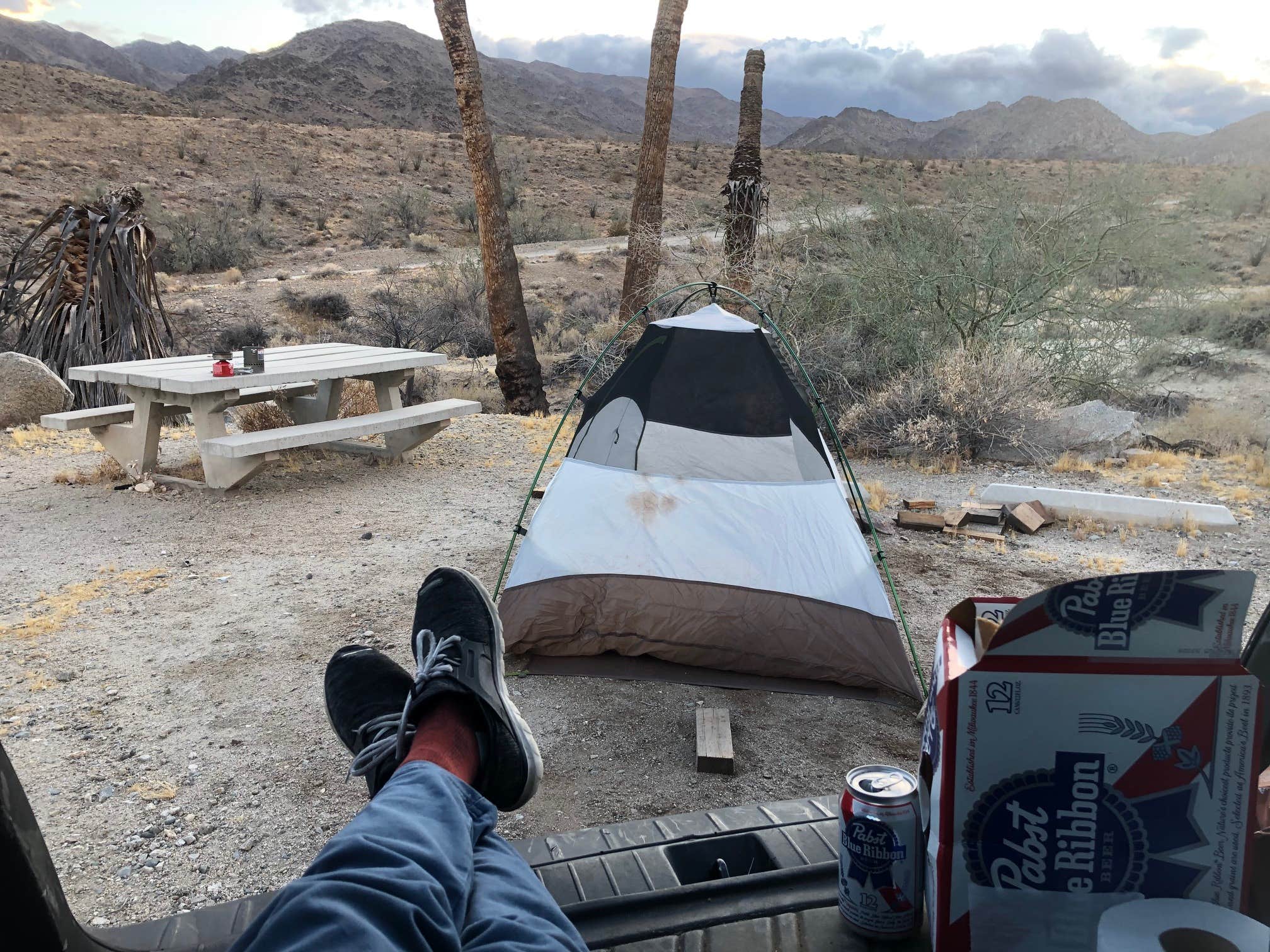 Camper-submitted photo at Corn Springs Campground near Joshua Tree National Park