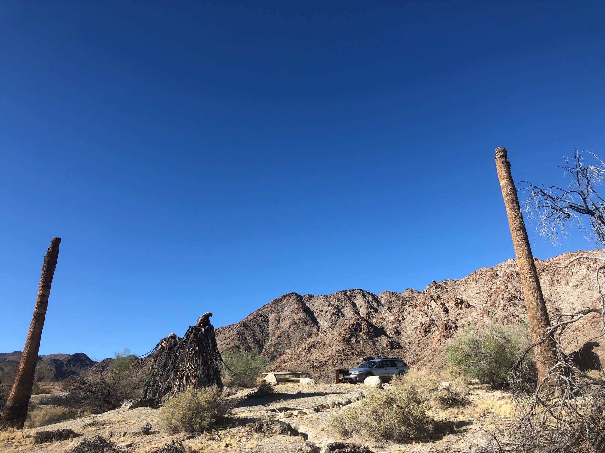 Camper-submitted photo at Corn Springs Campground near Joshua Tree National Park