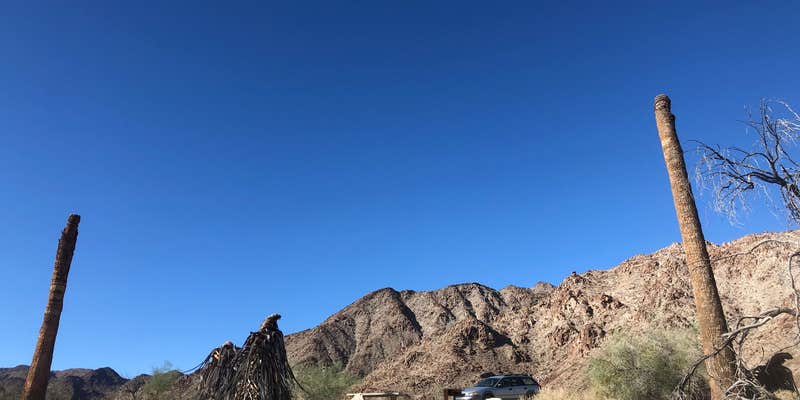 Camper submitted image from Corn Springs Campground