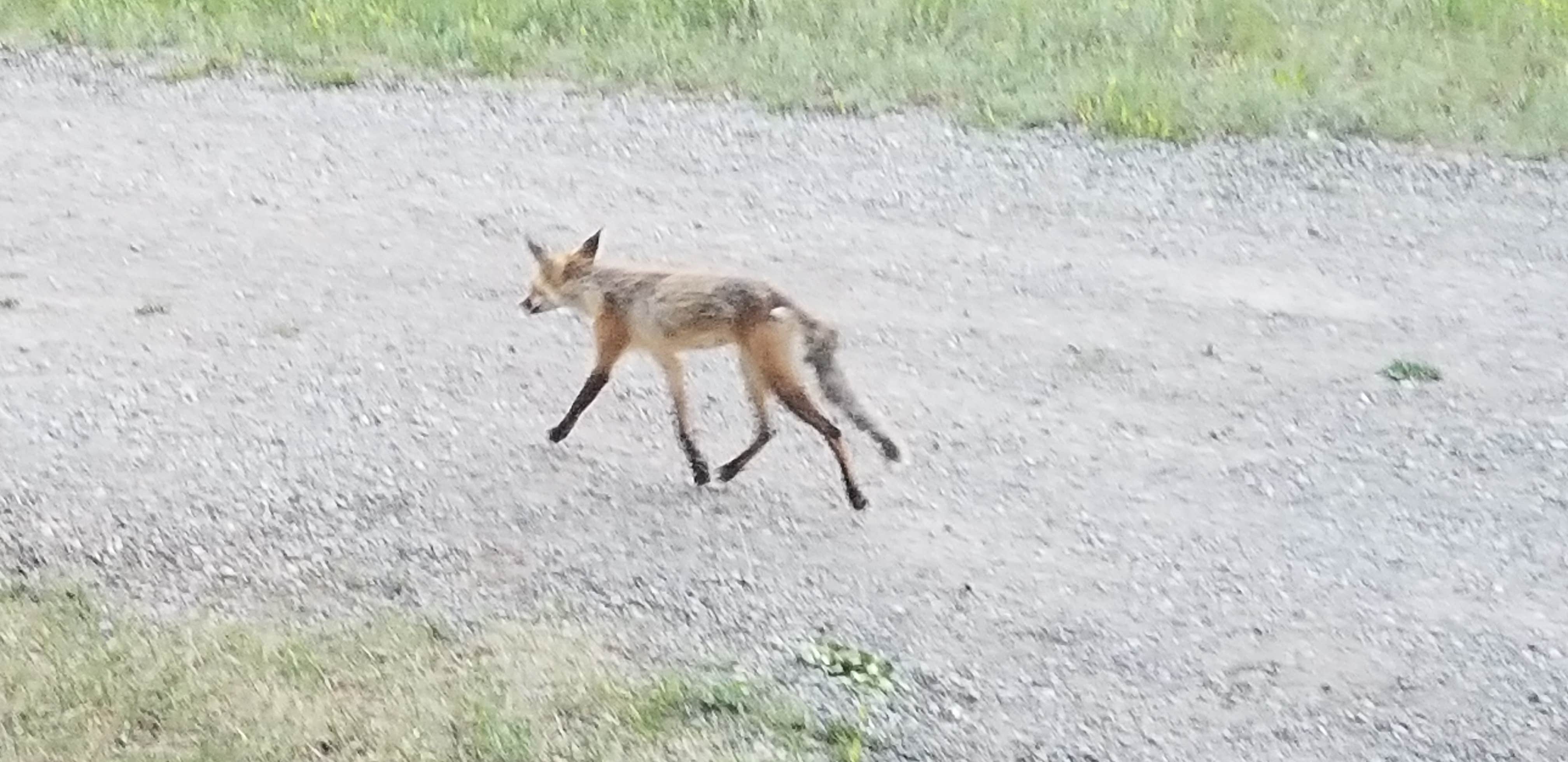 Camper-submitted photo at Ledges Cottonwood Campground near Norwood, CO