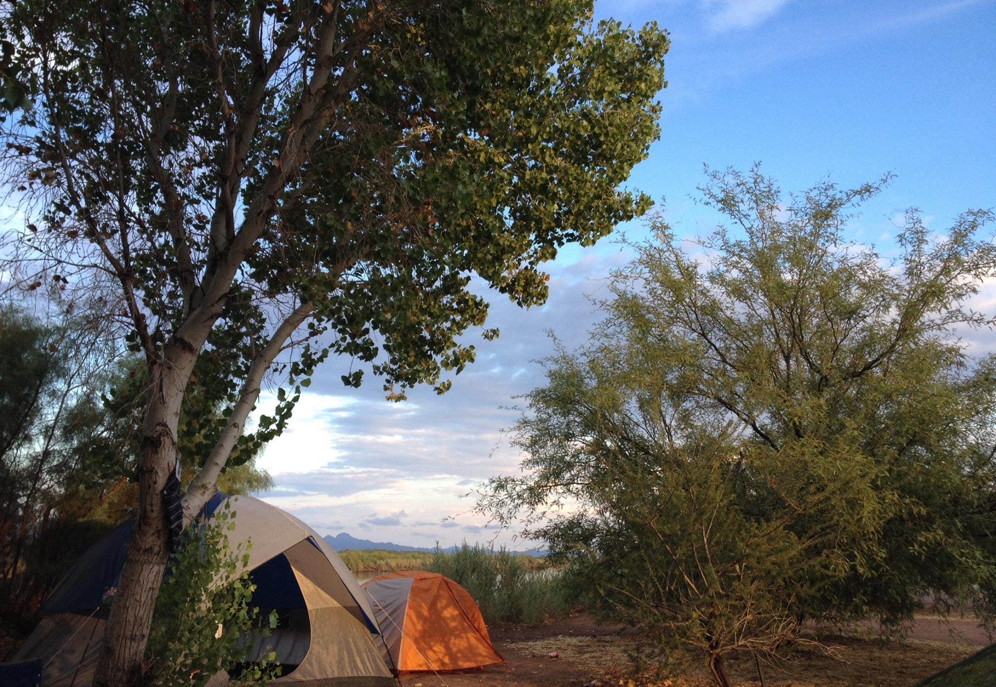 Dan X.'s photo at BLM Oxbow Campground near Winterhaven, CA